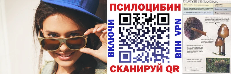 площадка наркотические препараты  Ивантеевка  Галлюциногенные грибы прущие грибы 